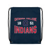 Thumbnail image for  Navy Drawstring Backpack