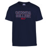 Thumbnail image for  Youth Navy T Shirt
