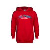 Thumbnail image for  Youth Red Fleece Hoodie
