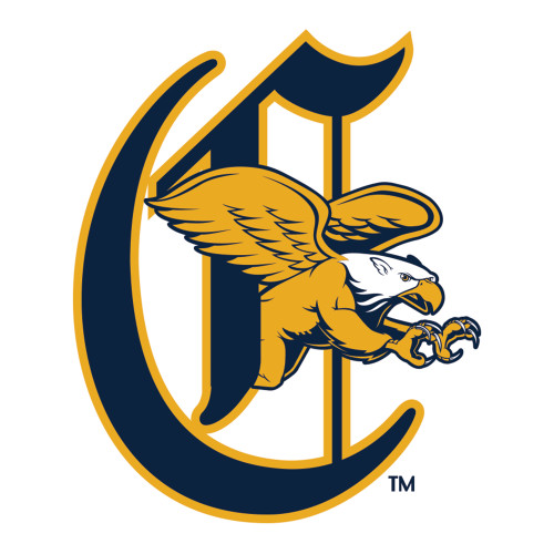  Large Decal - Canisius Old English Baseball C