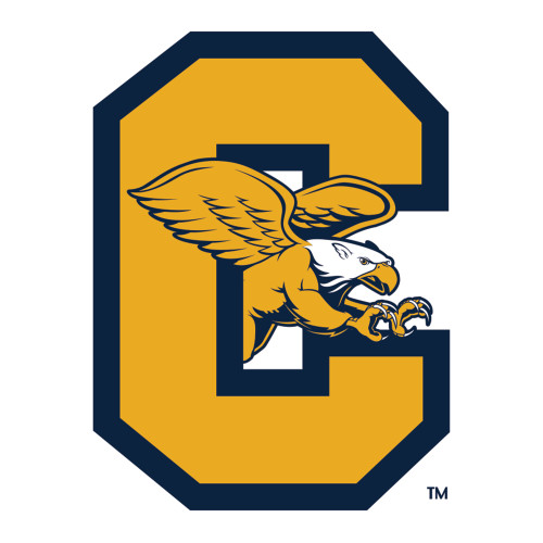  Large Decal - Canisius Block C