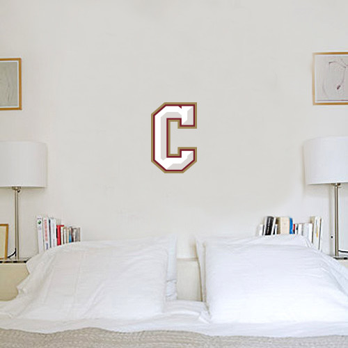  6 in x 1 ft Fan WallSkinz - C