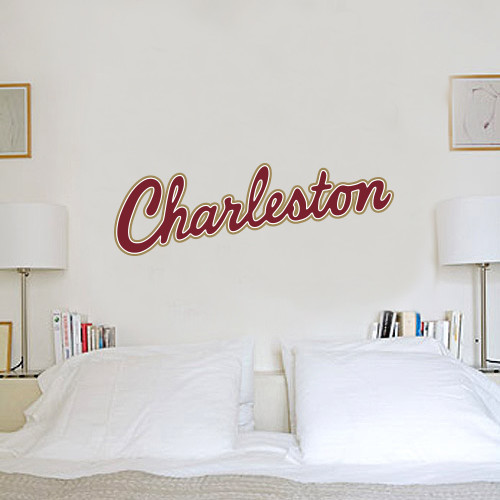  1 ft x 3 ft Fan WallSkinz - Charleston Script
