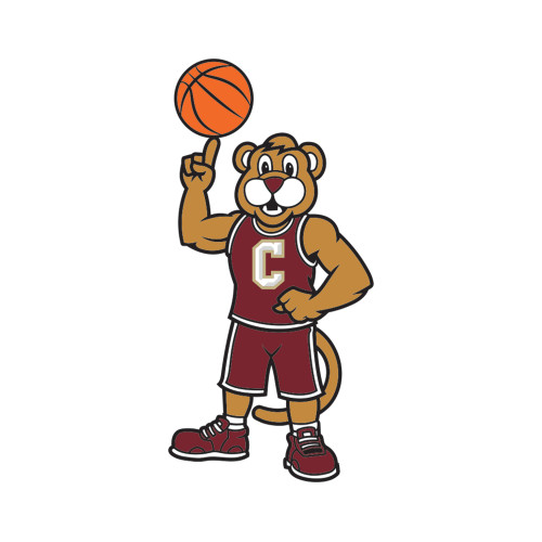 College of Charleston Medium Decal