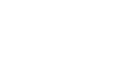 College of Charleston Cougars