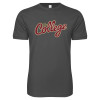 Thumbnail image for  Next Level Charcoal SoftStyle T Shirt