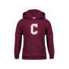Thumbnail image for  Youth Maroon Fleece Hoodie
