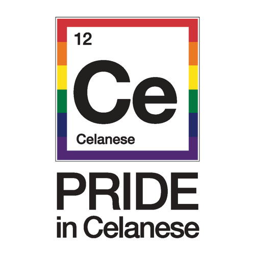  Medium Decal - Pride in Celanese Vertical