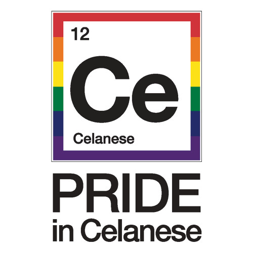  Large Decal - Pride in Celanese Vertical