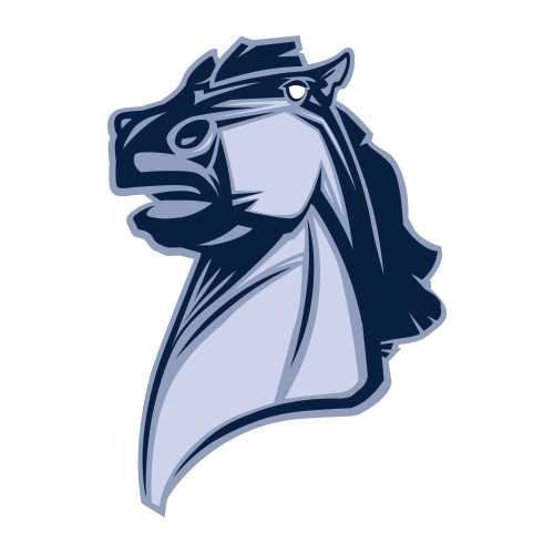  Large Decal - Official Logo