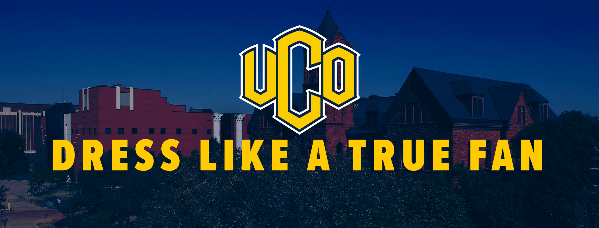 Promotional banner