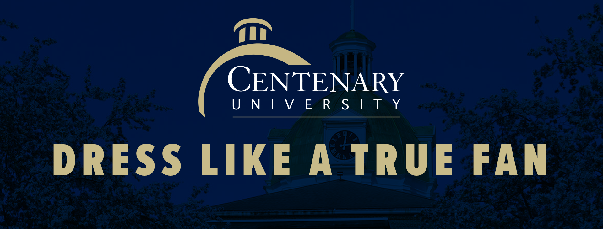Promotional banner