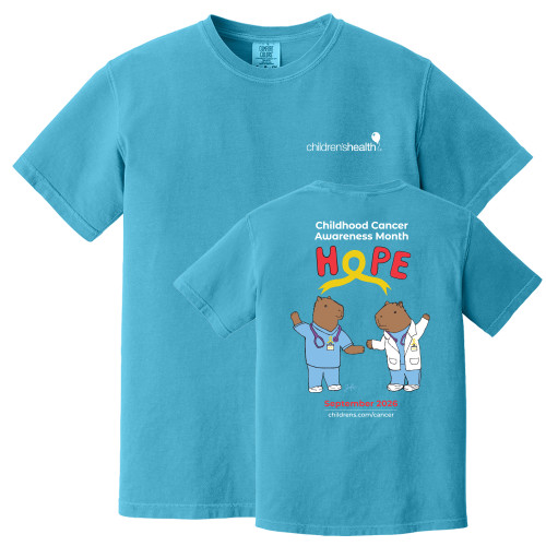  Awareness Comfort Colors Sapphire T Shirt