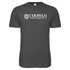 Thumbnail image for  Next Level Charcoal SoftStyle T Shirt