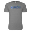 Thumbnail image for  Next Level Heather Grey SoftStyle T Shirt