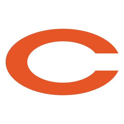 Large Decal - C
