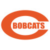 Thumbnail image for  Extra Large Decal