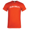 Thumbnail image for  Orange T Shirt