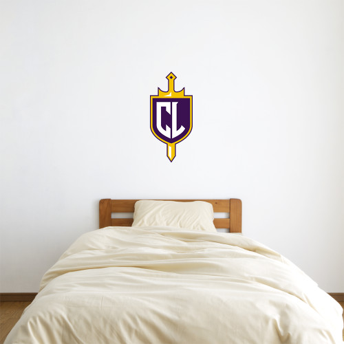  2 ft x 2 ft Fan WallSkinz - Sword and Shield CL