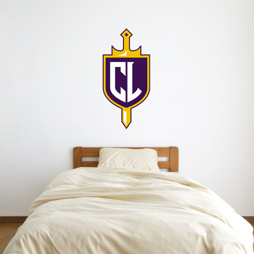  3 ft x 3 ft Fan WallSkinz - Sword and Shield CL