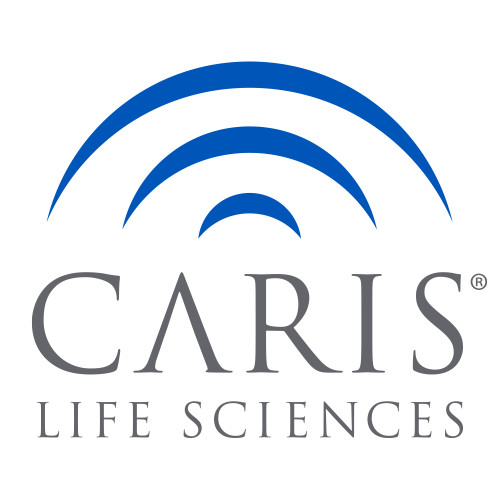 Extra Large Decal-CARIS