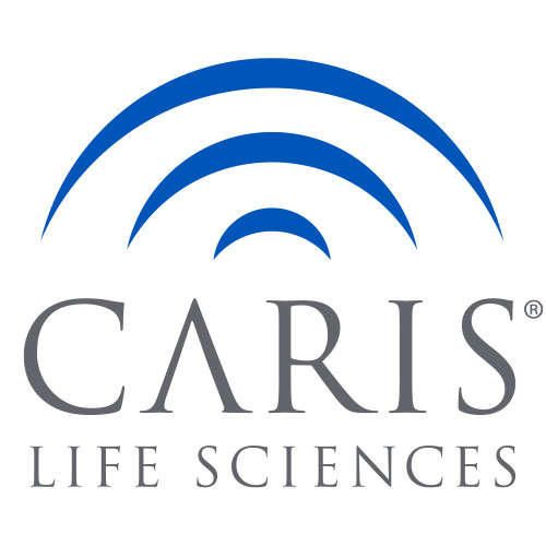 Super Large Decal-CARIS