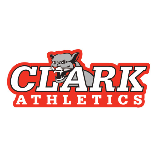  Large Decal - Primary Logo
