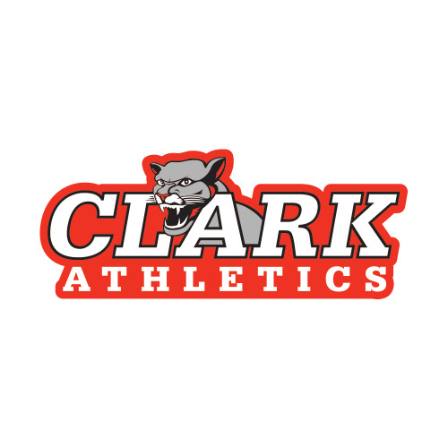  Small Decal - Primary Logo