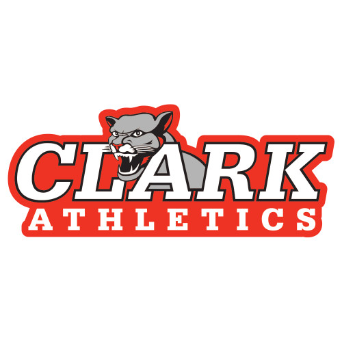  Extra Large Decal - Primary Logo