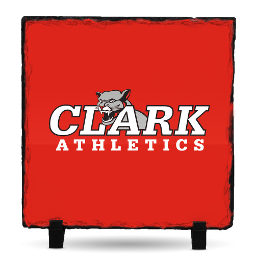  Photo Slate - Primary Logo