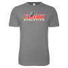 Thumbnail image for  Next Level Heather Grey SoftStyle T Shirt