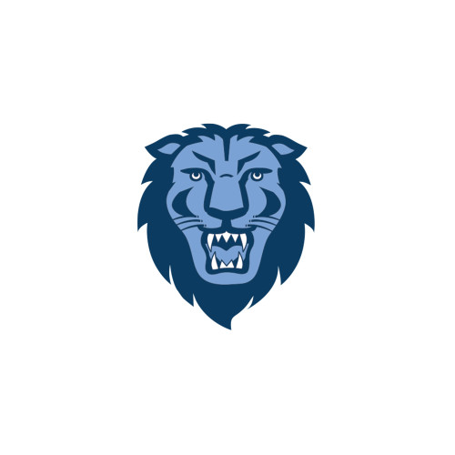  Large Decal - Columbia Primary Spirit Mark