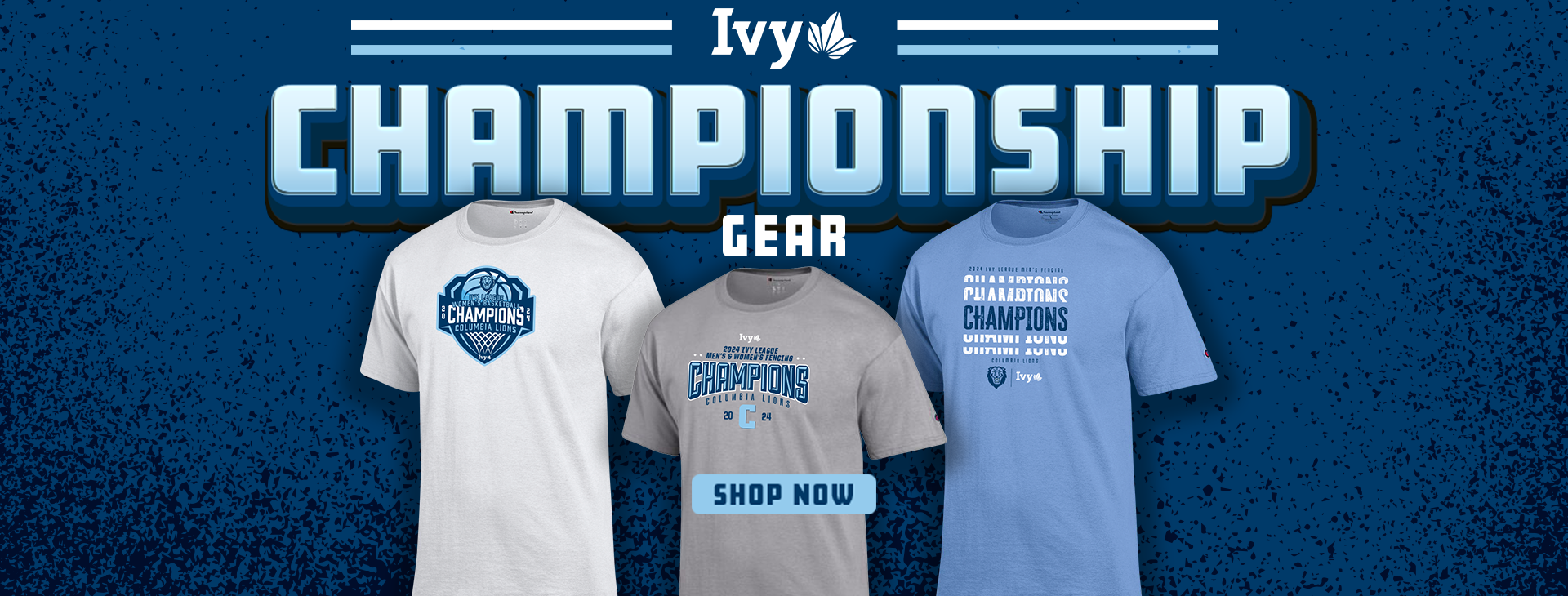 Promotional banner