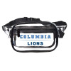 Thumbnail image for  Clear Fanny Pack