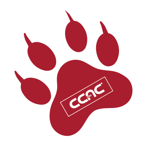 Medium Decal-Paw Print