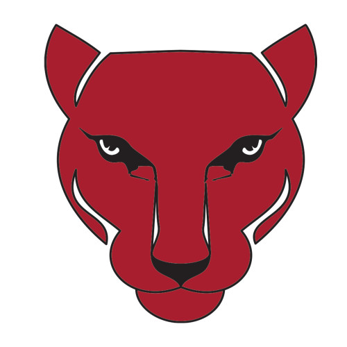 Medium Decal-Wild Cat Head