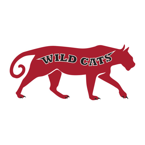 Medium Decal-Wild Cat Body