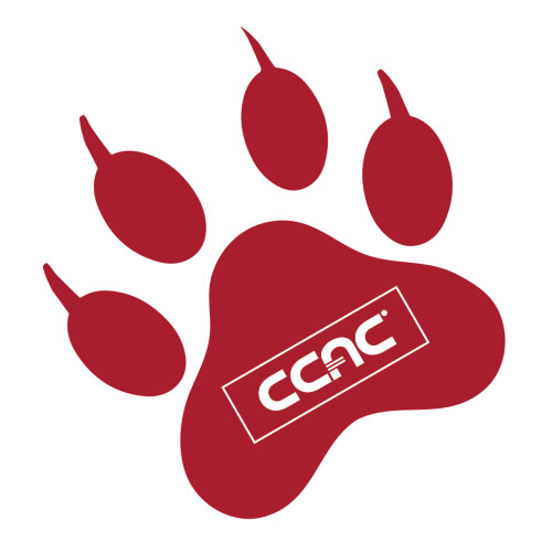 Large Decal-Paw Print