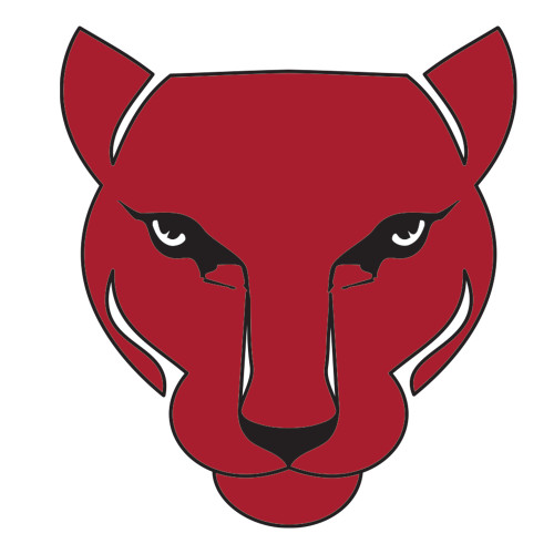 Large Decal-Wild Cat Head