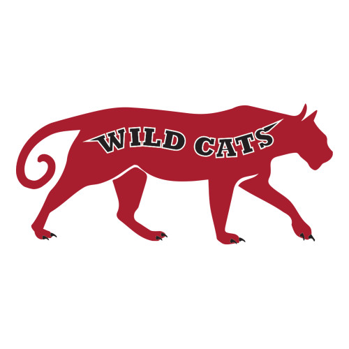 Large Decal-Wild Cat Body
