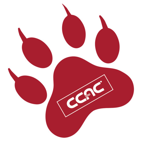 Extra Large Decal-Paw Print