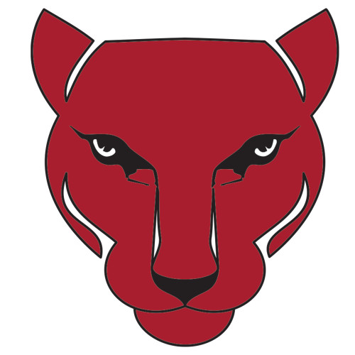 Extra Large Decal-Wild Cat Head