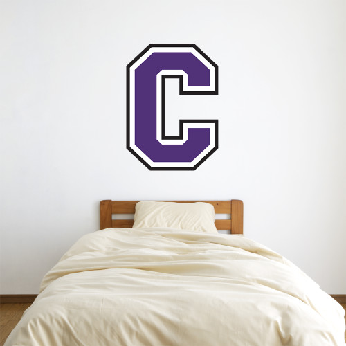  3 ft x 3 ft Fan WallSkinz - Cornell C