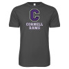 Thumbnail image for  Next Level Charcoal SoftStyle T Shirt
