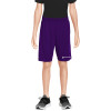 Thumbnail image for  Youth Purple Competitor Shorts