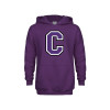 Thumbnail image for  Youth Purple Fleece Hoodie