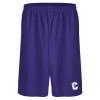 Thumbnail image for  Purple Performance Classic 9 Inch Short
