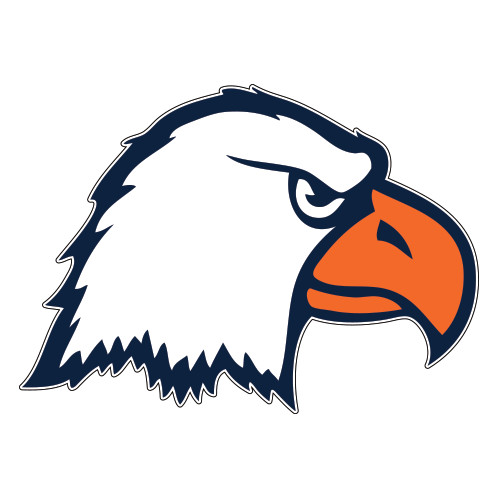  Extra Large Decal - Eagle Head