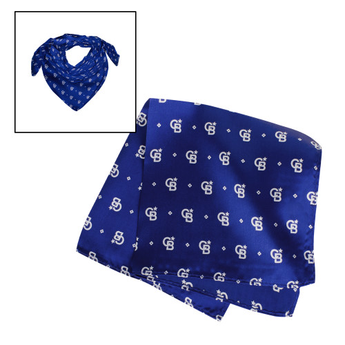 Blue Silk Scarf 24 in.-North Star