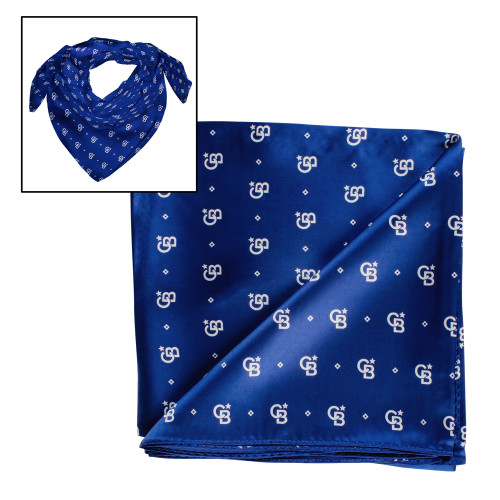Blue Silk Scarf 38 in.-North Star
